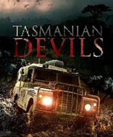 Tasmanian Devils /  